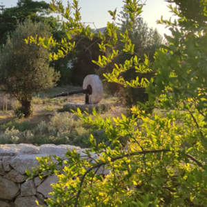 "הנסתר והגלוי – שימור"